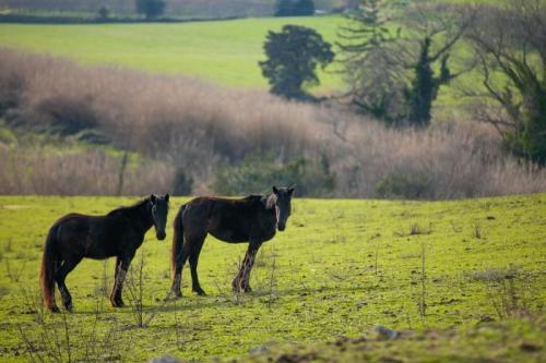 Giornata Mondiale Della Biodiversità Nella Tuscia - 