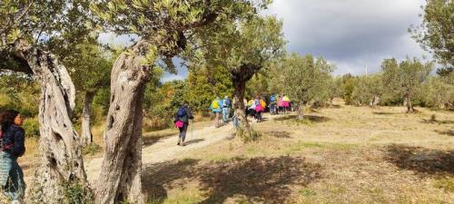 Passeggiate & Buon Gusto - 