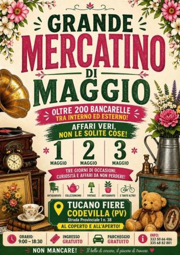 Il Mercatino Dell'usato E Artigianato A Codevilla - Codevilla
