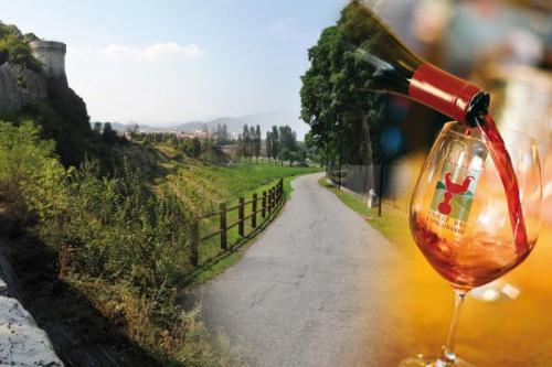 Strada Del Vino E Dei Sapori Colli Dei Longobardi - 