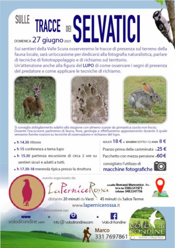 Sulle Tracce Dei Selvatici E Del Lupo In Oltrepò - Menconico