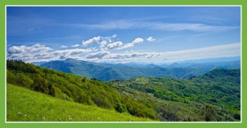 Camminata Al Monte Joanaz - Faedis