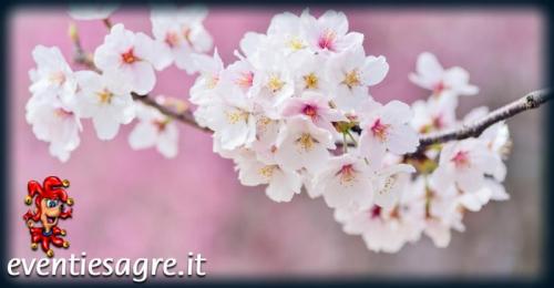 Monza In Fiore - Monza