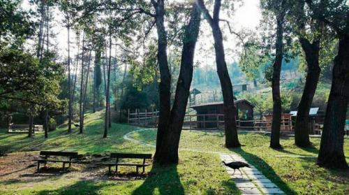 L'estate In Pinetina A Vezzano - Vezzano Sul Crostolo