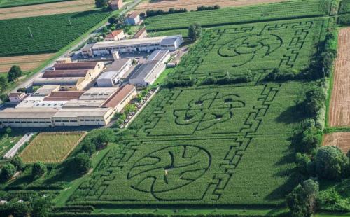 Il Labirinto Di Alfonsine - Alfonsine