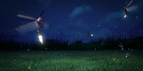 La Danza Delle Lucciole Tra Scienza E Letteratura - Castelnuovo Di Farfa