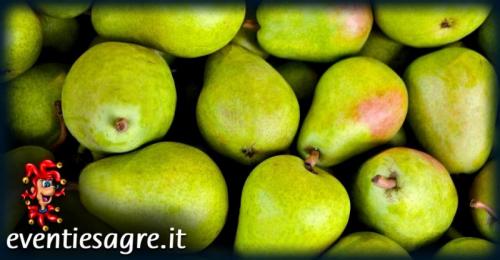 La Festa Della Pera A Renazzo - Cento