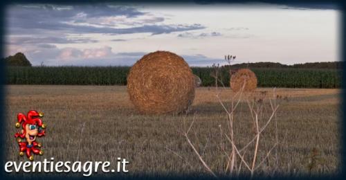 La Festa Della Trebbiatura A Cognento Di Modena - Modena