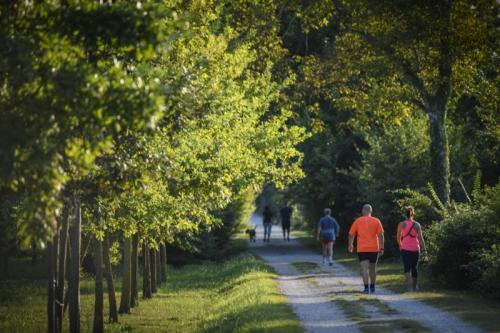Il Cammino Di San Cristoforo - Pordenone