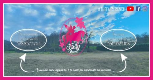 Notte Di San Lorenzo A Rocca Di Papa - Rocca Di Papa