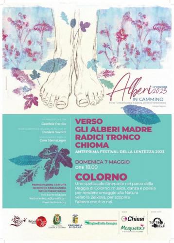 Alberi In Cammino - Colorno
