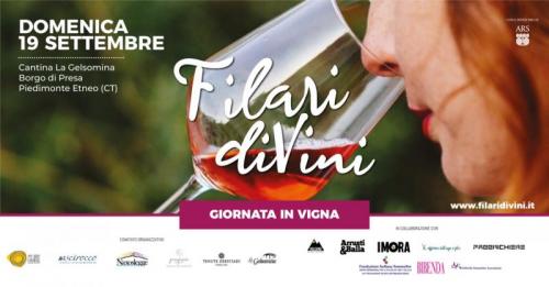 Filari Divini - Piedimonte Etneo