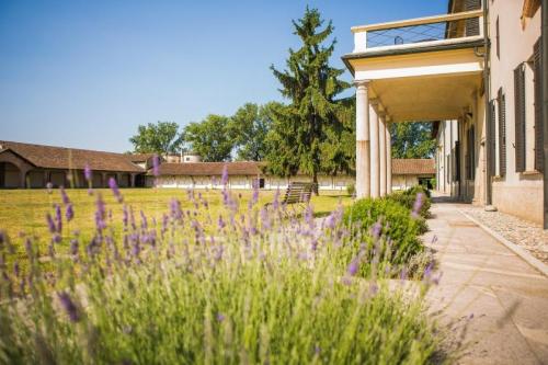 Il Futuro Al Centro - Opera