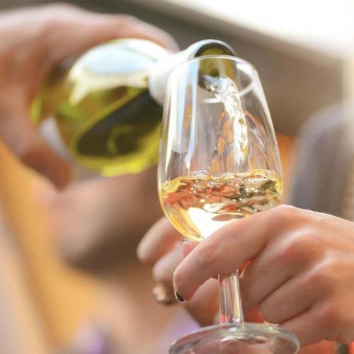 La Strada Del Vino A Castel Romano - Roma