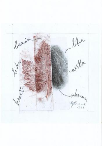 Barolo En Primeur - Grinzane Cavour