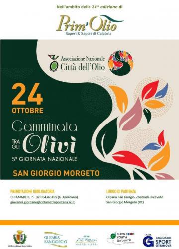 Camminata Tra Gli Olivi - San Giorgio Morgeto