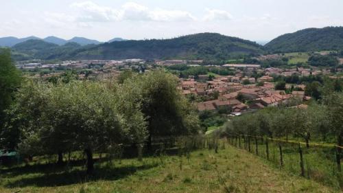 Alla Scoperta Dei Colli Di Possagno Tra Arte E Natura - Possagno