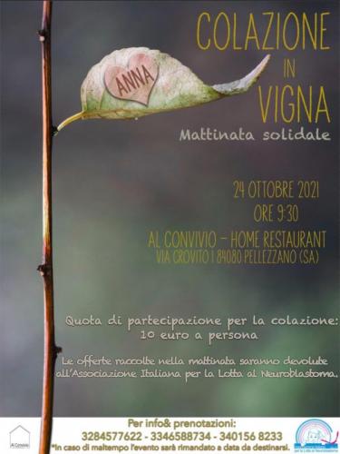 Colazione In Vigna - Pellezzano