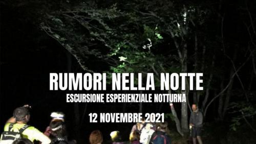 Rumori Nella Notte - Vialfrè