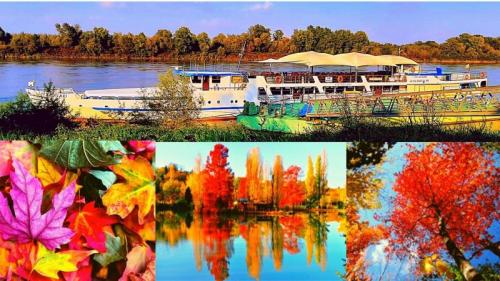 Sapori D'inverno In Crociera Sul Po - Boretto