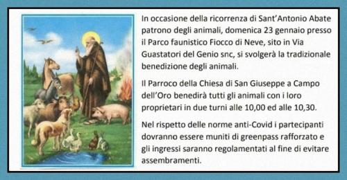 La Festa Di Sant'antonio Abate A Civitavecchia - Civitavecchia