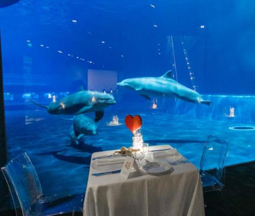San Valentino All'acquario Di Genova - Genova