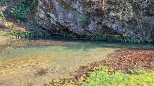 Castelcucco Tra Acque Cristalline, Boschi E Antichi Oratori - Castelcucco