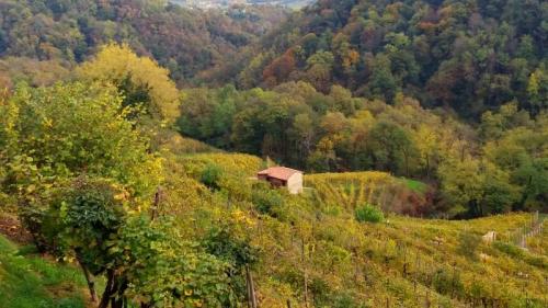 Le Dolci Colline Di Premaor E Pranzo Di Fine Anno - Miane
