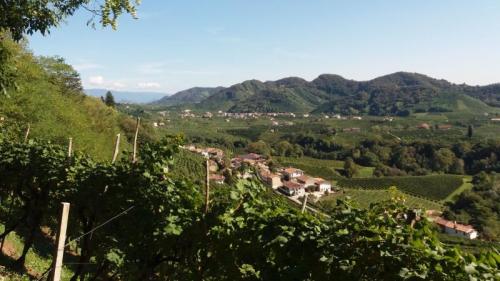 L'anello Del Prosecco: Tour Enogastronomico Tra Vigne E Antichi - Valdobbiadene