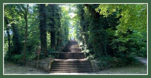 Parco Frassanelle A Rovolon - Rovolon