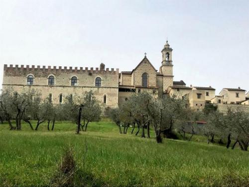 Firenze Urban Trekking La Certosa - Firenze