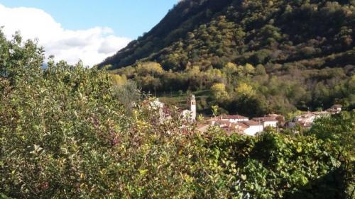 Camminata Dell'ecobenessere A Tarzo - Tarzo
