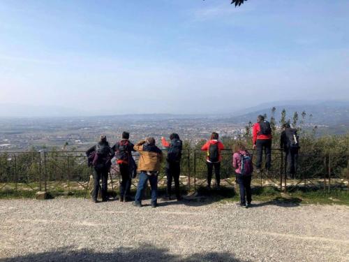 La Certosa Di Firenze - Firenze