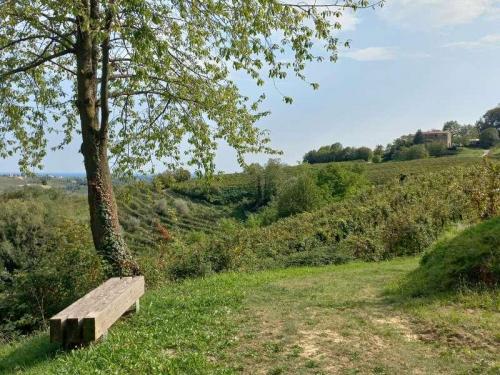 L'autunno Tra I Colli Di San Pietro Di Feletto E Visita Guidata Alla Pieve - San Pietro Di Feletto