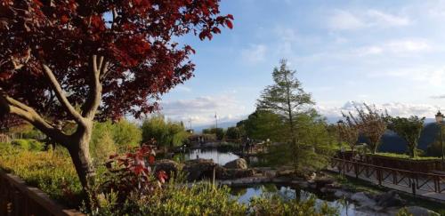 Il Parco Della Biodiversità Mediterranea - Catanzaro