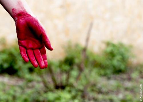 1223 Ultima Fermata Mattatoio - Roma