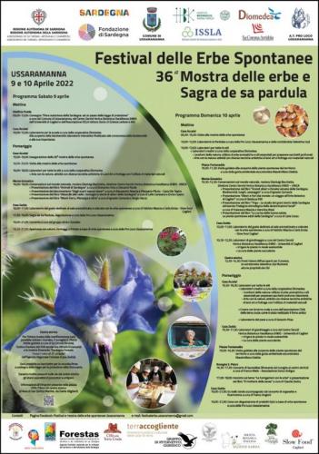 Festival Delle Erbe Spontanee A Ussaramanna - Ussaramanna