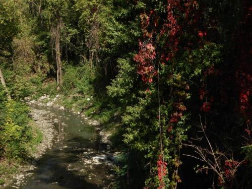 Una Gita Fuori Porta - Bologna