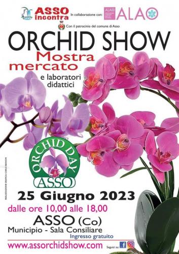  Mostra Mercato Dell'orchidea A Asso - Asso