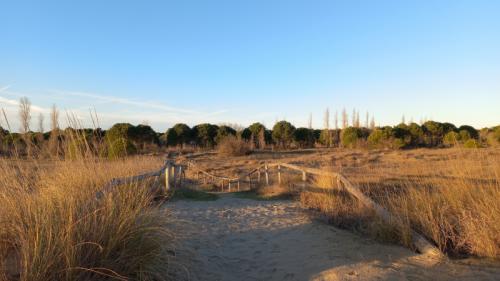 Camminata Dell'ecobenessere A Ca' Savio - Cavallino-treporti