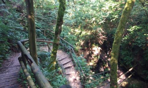 Camminata Dell'ecobenessere Tra I Colli Di Santa Lucia A Budoia - Budoia