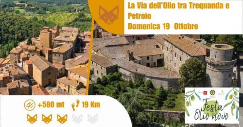 La Via Dell'olio Tra Trequanda E Petroio - Trequanda