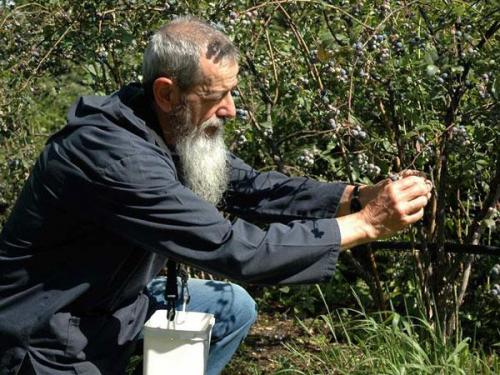 Vita Al Monastero - Germagno