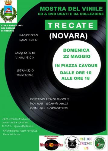 Mostra Mercato Del Vinile A Trecate - Trecate