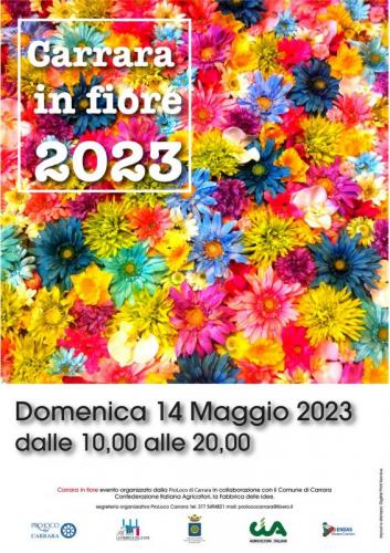 La Festa Dei Fiori A  Carrara - Carrara