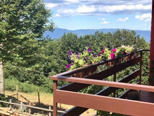 La Mistica Vallombrosa E La Foresta Dei Monaci - Firenze