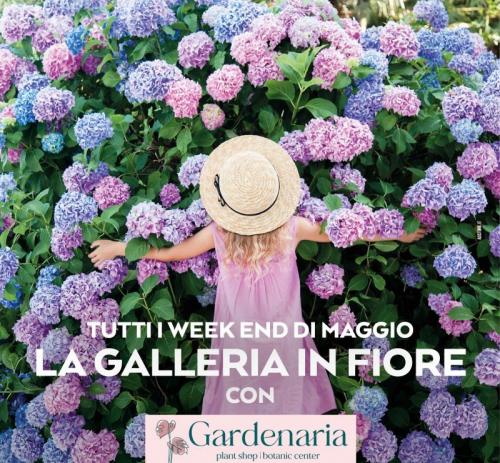 La Galleria In Fiore - Parma