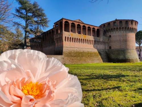 Maravaia! Market - Bagnara Di Romagna