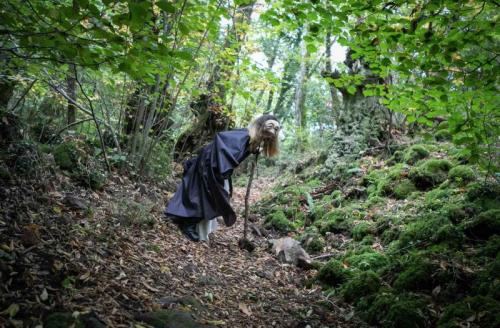 Il Bosco Sulla Francigena - Acquapendente