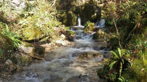 Beeday Da Segusino A Stramare Tra Boschi E Acque Cristalline - Segusino